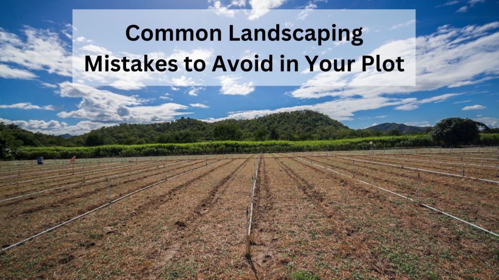 landscaping mistakes to avoid in your plot